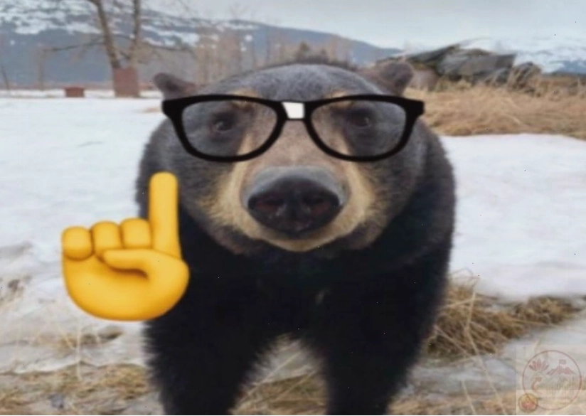 Nerd emoji với gương mặt đeo kính hài hước được sử dụng rộng rãi
