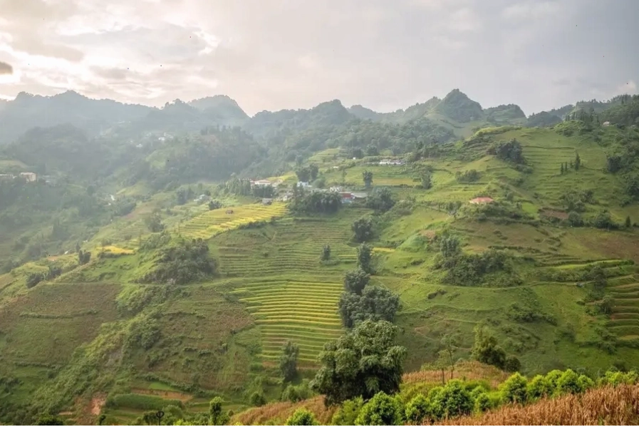 Ngắm nhìn toàn cảnh núi rừng Tây Bắc từ thung lũng hoa Bắc Hà