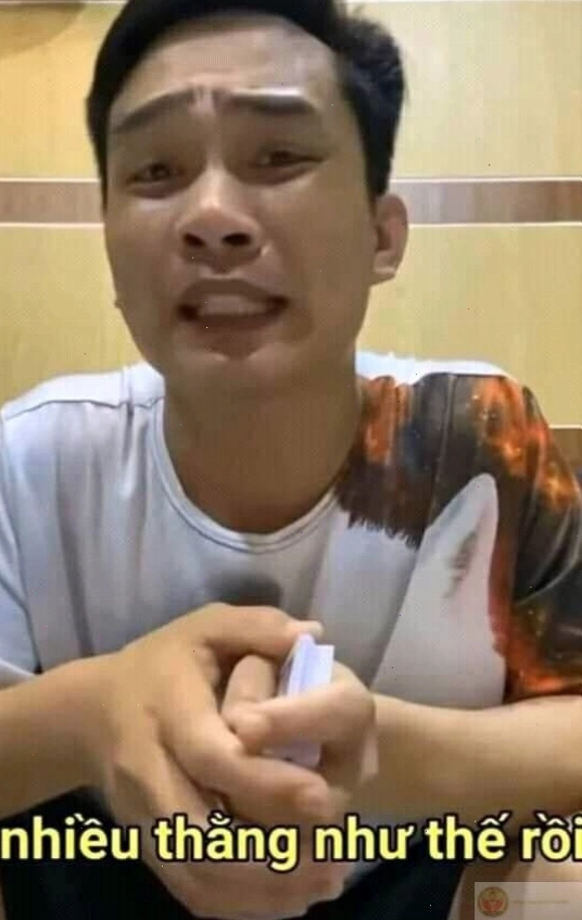 Người dùng sáng tạo hàng loạt ảnh chế độc đáo từ Tiến bịp meme