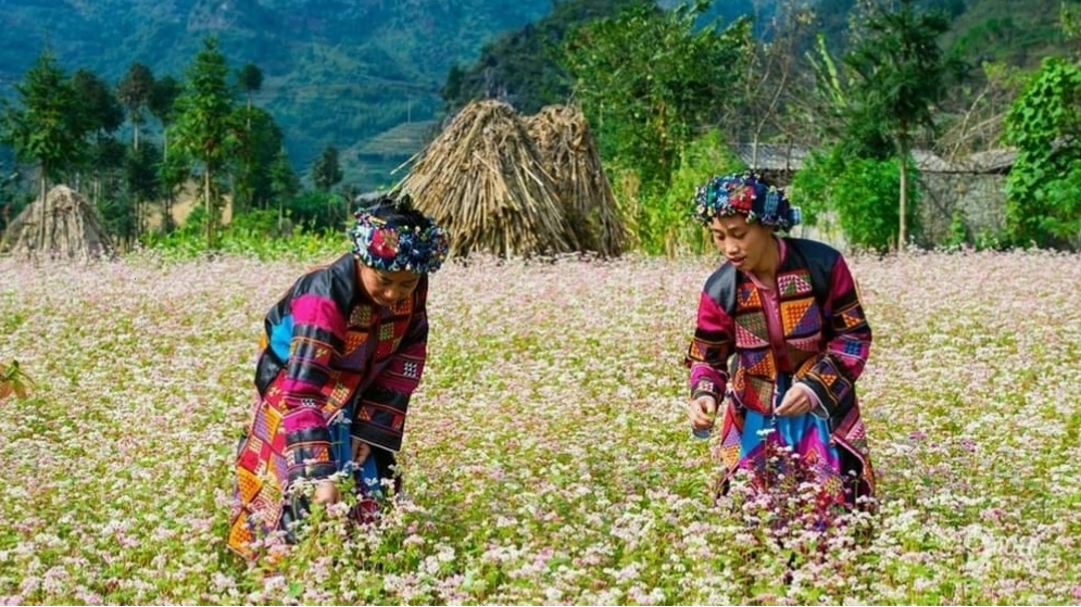 Phố Cáo, Hà Giang với vẻ đẹp hoang sơ