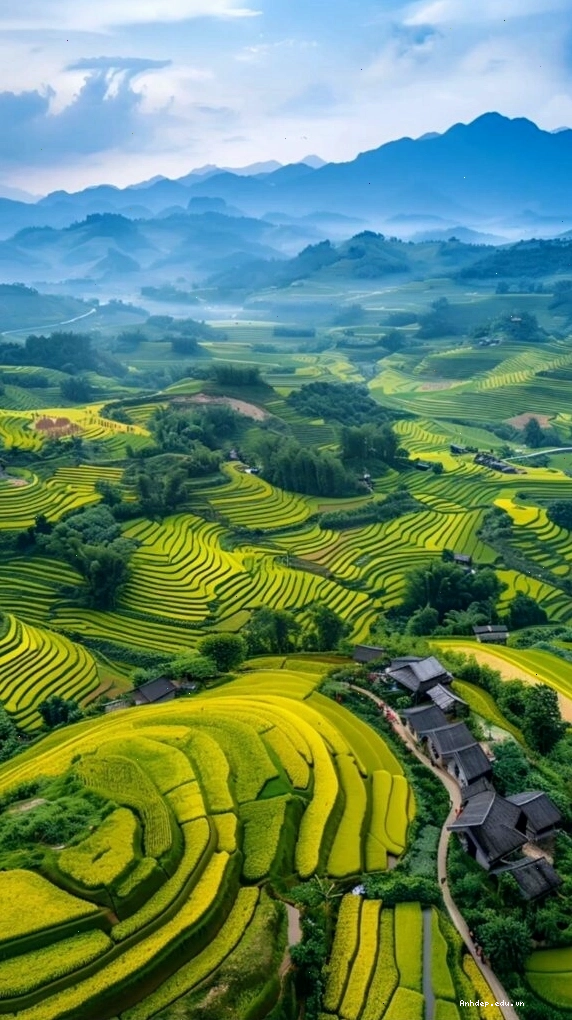 Ruộng bậc thang xanh mướt dưới ánh sáng ban mai tạo hiệu ứng màu cam nhẹ
