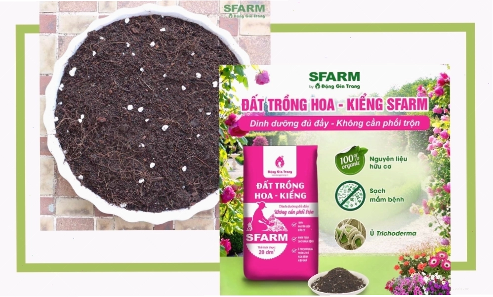SFARM cung cấp đất trồng hoa kiểng chất lượng
