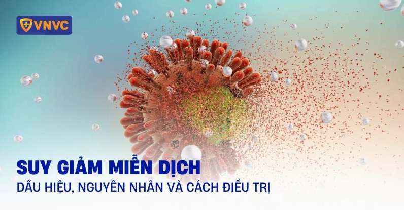 Suy giảm miễn dịch ở người lớn: Nguyên nhân, dấu hiệu và cách tăng cường đề kháng