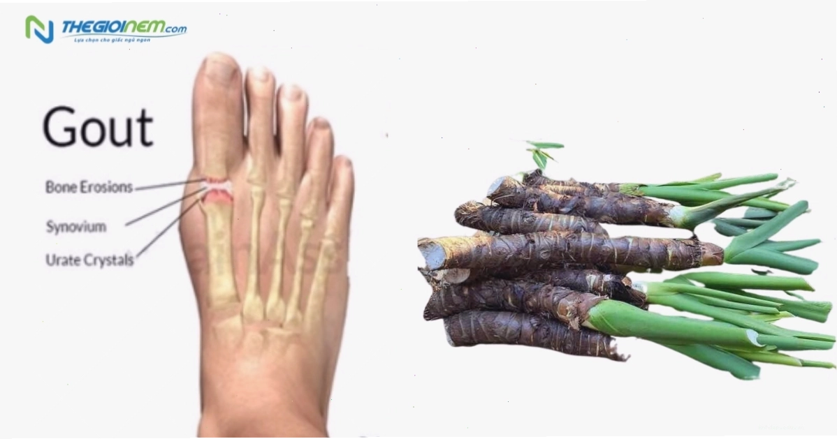 Tham khảo ý kiến chuyên gia y tế