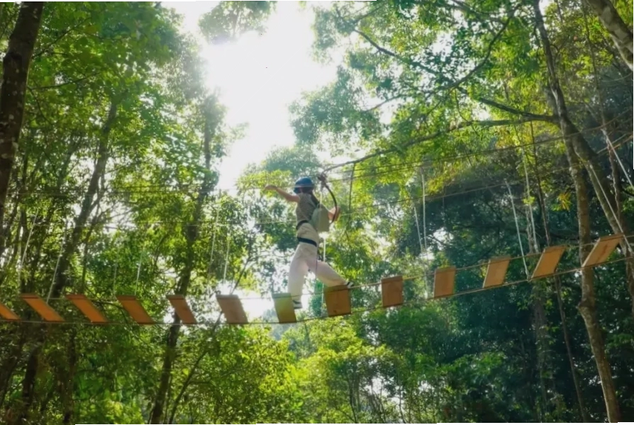 Thử thách bản thân với trò chơi High Rope Park mạo hiểm