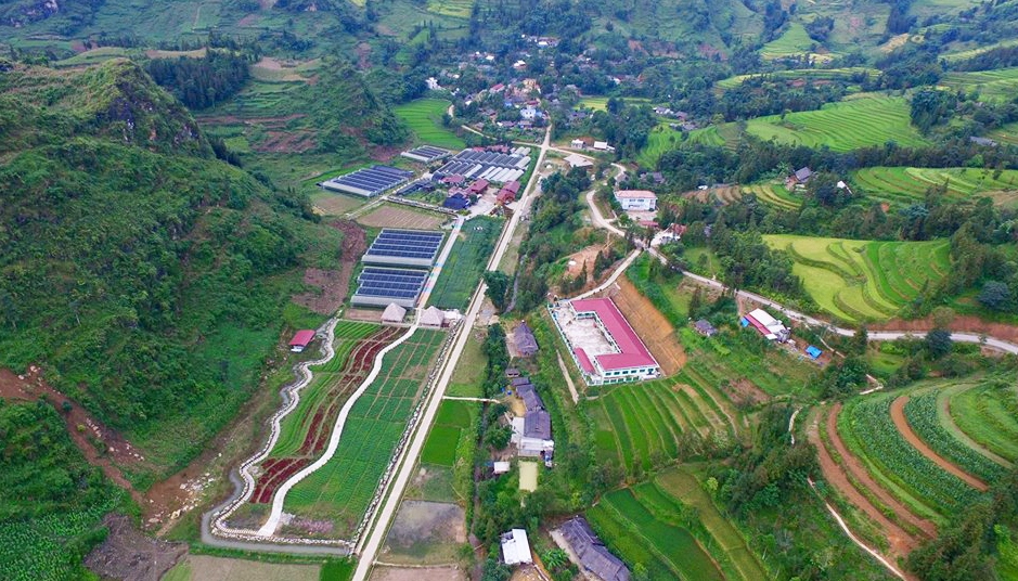 Thung Lũng Hoa Bắc Hà: Thiên Đường Hoa Rực Rỡ Giữa Núi Rừng Tây Bắc 2026