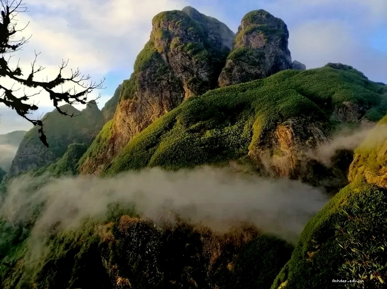 Toàn cảnh núi Ngũ Chỉ Sơn với những đỉnh núi hùng vĩ và thung lũng xanh mướt