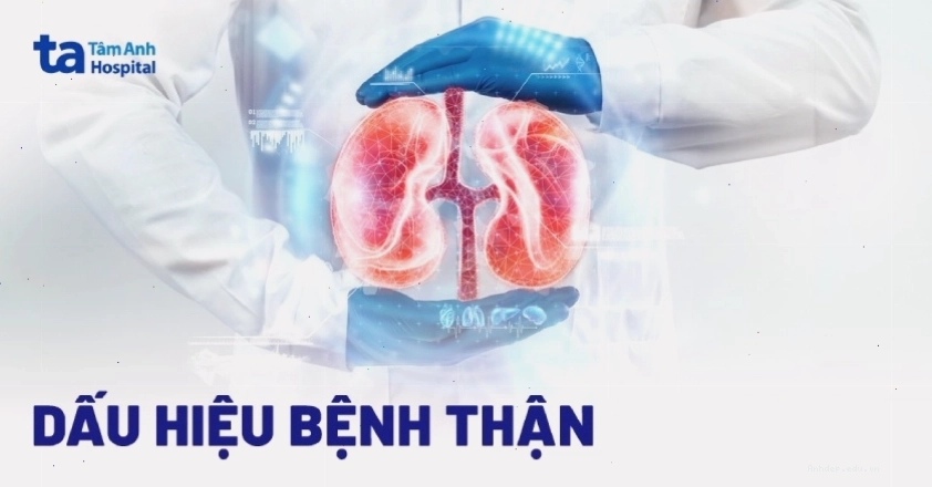 Tổng quan về bệnh thận và tầm quan trọng của dinh dưỡng