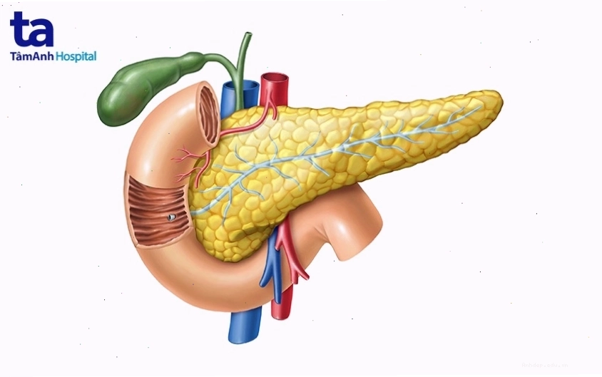 Tổng quan về bệnh viêm tụy