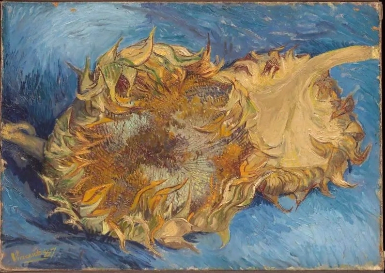 Tranh tĩnh vật 2 bông hoa hướng dương bị cắt của Van Gogh, gợi lên nỗi buồn