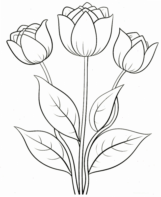 Tranh tô màu bông hoa đơn giản