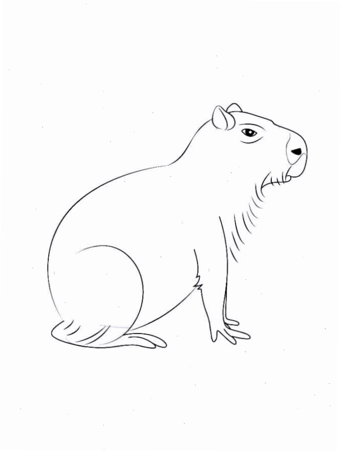 Tranh tô màu Capybara đơn giản nhất