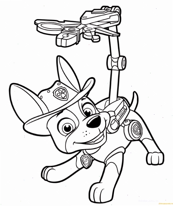 Tranh tô màu toàn bộ đội chó cứu hộ Paw Patrol đang thực hiện nhiệm vụ