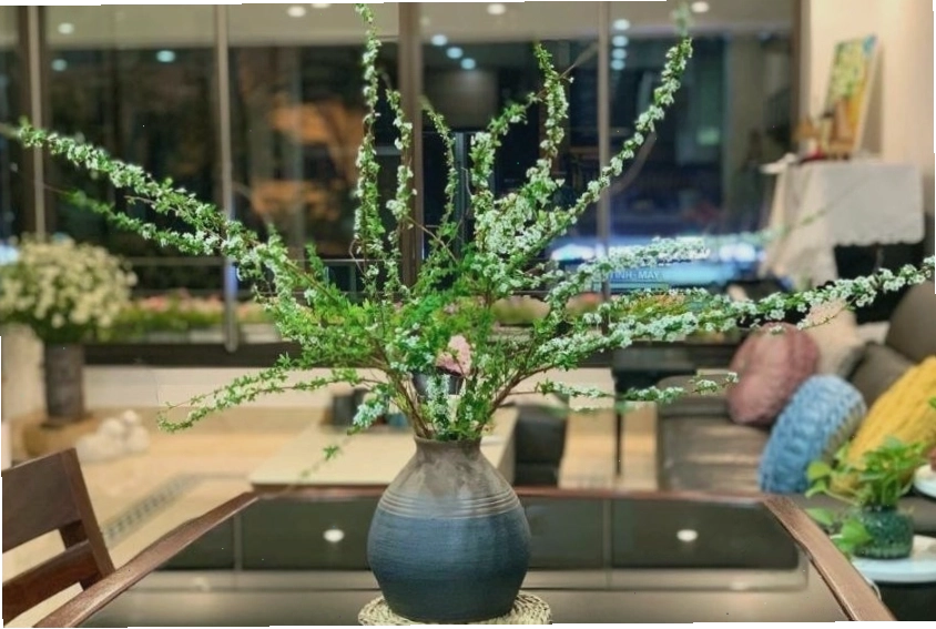 Trưng bày hoa tuyết mai trong nhà