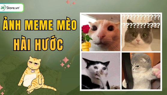Tuyển tập ảnh meme hài hước và vô tri cho điện thoại 2026