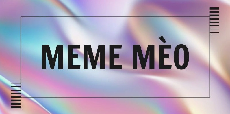 Tuyển tập hình mèo meme hài hước và đáng yêu nhất 2026