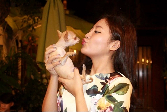 Văn Mai Hương thể hiện sự yêu quý động vật qua các hoạt động cá nhân