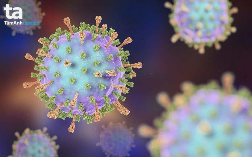 Virus quai bị - Mumps Virus là tác nhân gây bệnh