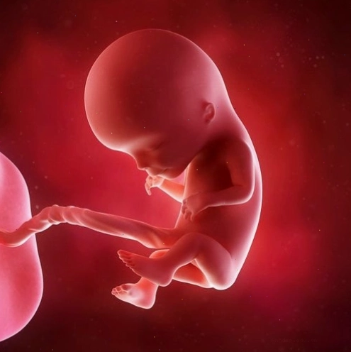 Virus zona thần kinh có ảnh hưởng tới thai nhi