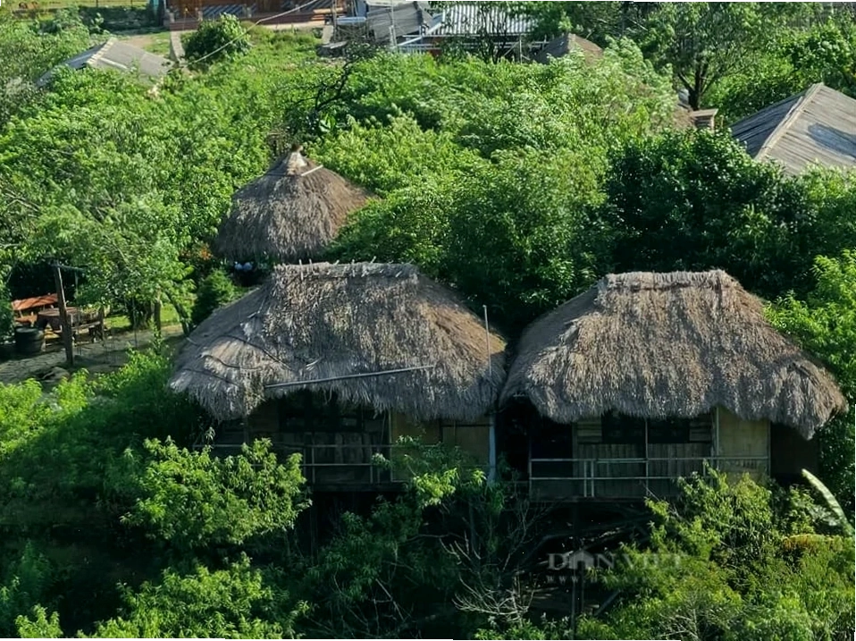 Vợ chồng A Páo phát triển kinh tế qua homestay