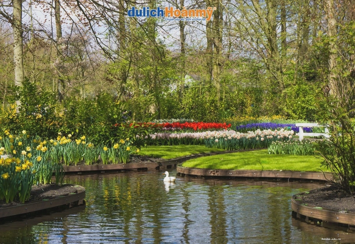 Vườn hoa Keukenhof ngập tràn sắc màu
