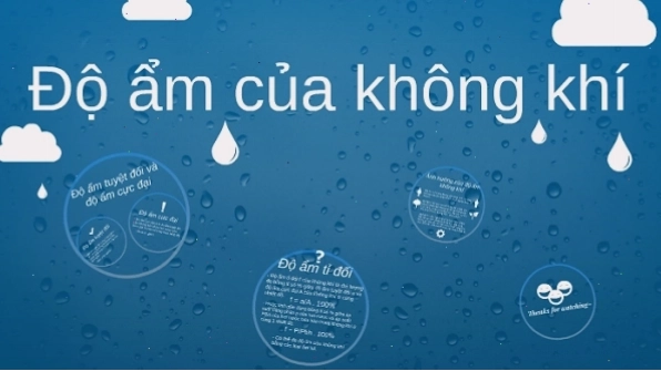 Tìm hiểu khái niệm độ ẩm không khí trong môi trường tự nhiên