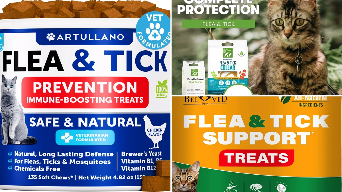 Effective natural flea and tick prevention for cats in 2026