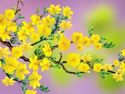 Bộ tranh tô màu hoa Mai mùa xuân cho bé đơn giản 