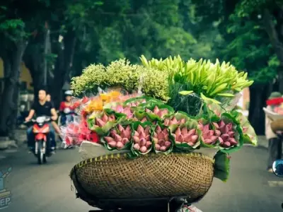 Top 99+ ảnh mùa thu Hà Nội đẹp xao xuyến lòng người