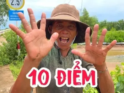 Tổng hợp bộ ảnh 10 điểm meme hài hước và ấn tượng nhất