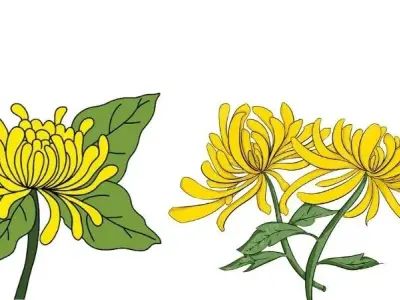 99+ tranh tô màu hoa cúc siêu đẹp dành cho bé 