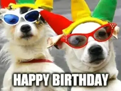 Chúc mừng sinh nhật với bộ ảnh happy birthday meme lầy lội