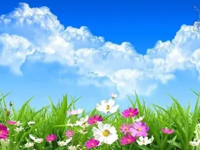 100 hình nền may mắn miễn phí - Mang đến năng lượng tích cực cho bạn
