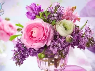 Top 500 hình nền hoa hồng đẹp nhất độ phân giải cao cho bạn lựa chọn