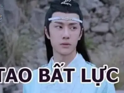 Tổng hợp 99+ hình ảnh meme bất lực hài hước, thú vị nhất trên MXH
