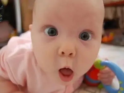 Khám phá bộ ảnh meme bất ngờ hài hươc, thú vị và độc đáo nhất