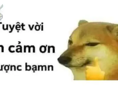 Tuyển tập ảnh meme cảm ơn cute đáng yêu nhất cho mọi tình huống
