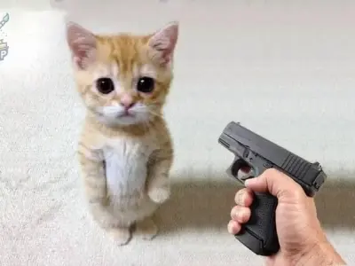 Cười bể bụng với bộ ảnh meme cầm súng siêu bựa để giải trí