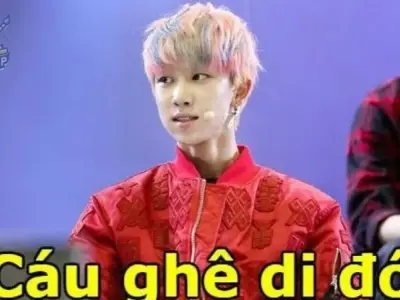 Xem ngay bộ sưu tập ảnh gấu trúc meme chửi dí dỏm và hài hước