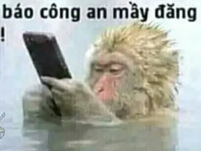 Bộ sưu tập ảnh meme công an bá đạo khiến bạn không thể nhịn được cười