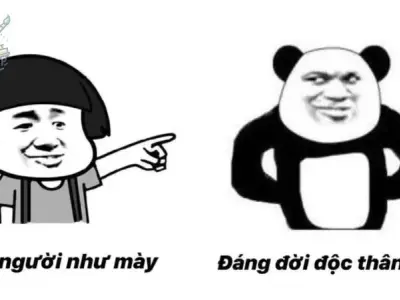 Sưu tầm ngay về máy bộ sưu tập ảnh meme gấu trúc hài hước