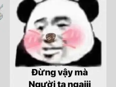 Khám phá ngay bộ ảnh meme ngại, meme xấu hổ hài hước nhất