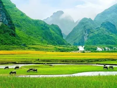 Những bức tranh phong cảnh cánh đồng quê hương yên bình