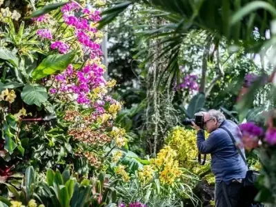 Hình ảnh phong cảnh khu vườn đầy hoa lan nở rộ tuyệt đẹp