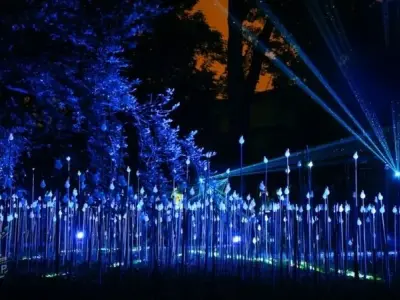 Top 50+ Hình ảnh phong cảnh lễ hội ánh sáng đêm siêu sắc nét