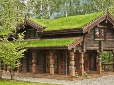 Những hình ảnh độc đáo của phong cảnh nhà gỗ truyền thống đẹp nhất
