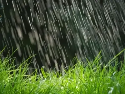 Mãn nhãn với bộ ảnh phong cảnh thiên nhiên mùa mưa siêu đẹp