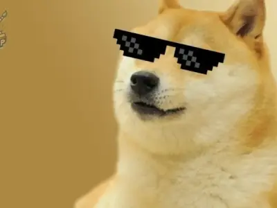 Những hình ảnh shiba meme ẩn sau sự hài hước và siêu cute