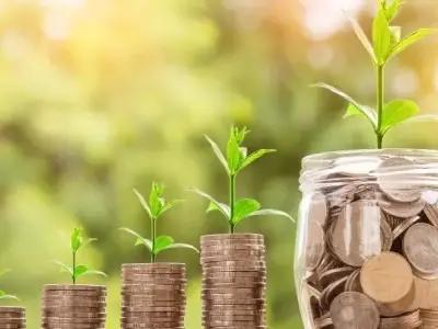 Top 101 hình ảnh tiền đẹp nhất mà bạn không thể bỏ qua