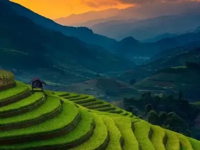 Kho tàng 100+ hình ảnh quê hương đẹp và ý nghĩa nhất